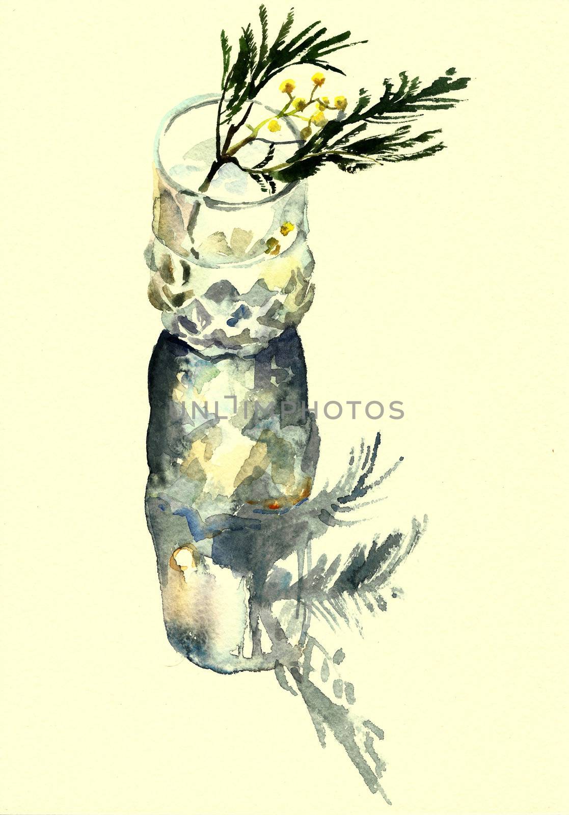 mimosa in a glass watercolor by nathings