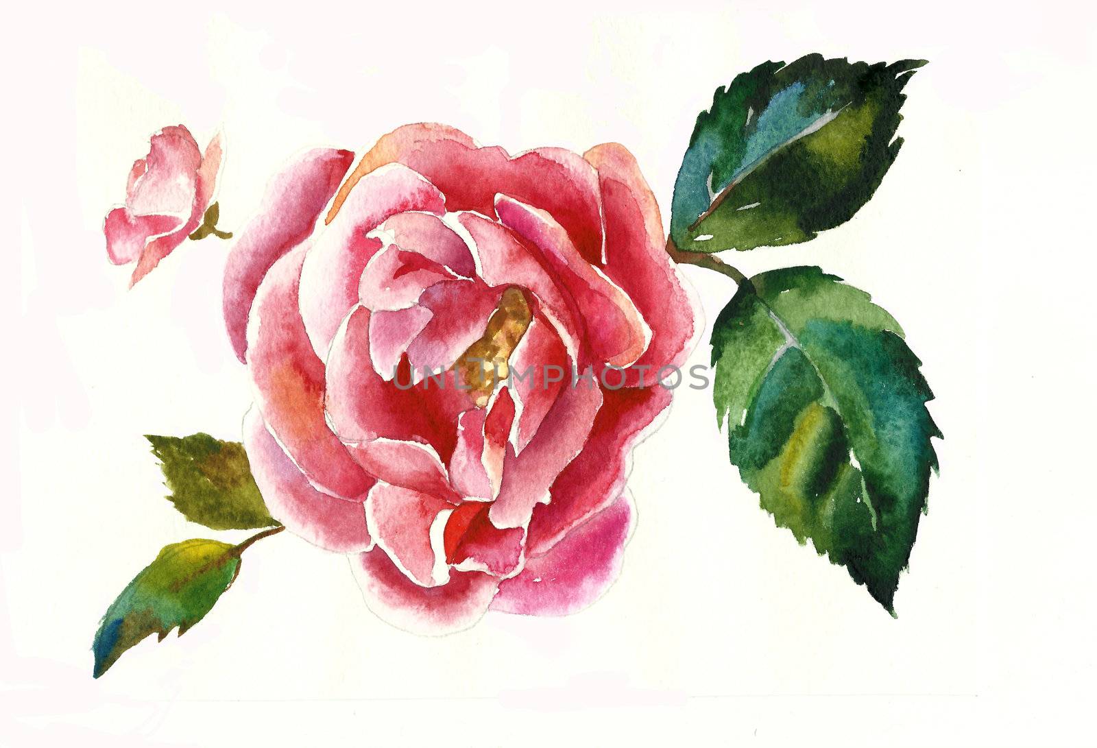 dogrose brunch watercolor by nathings