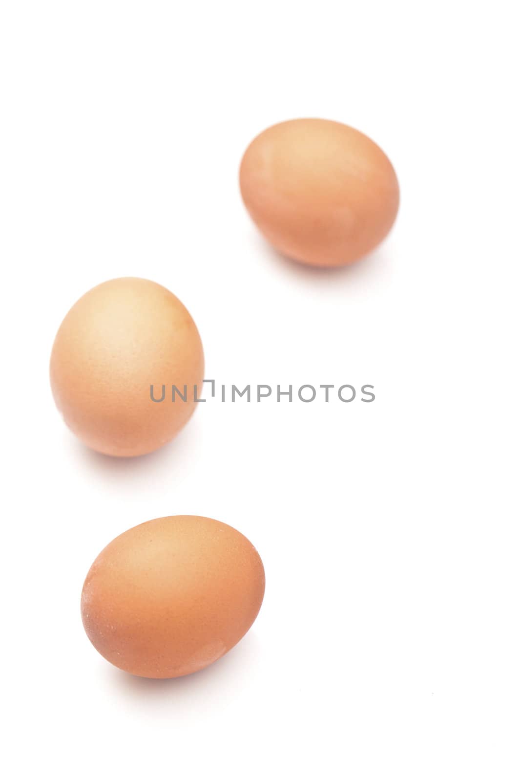 Eggs isolated on white background