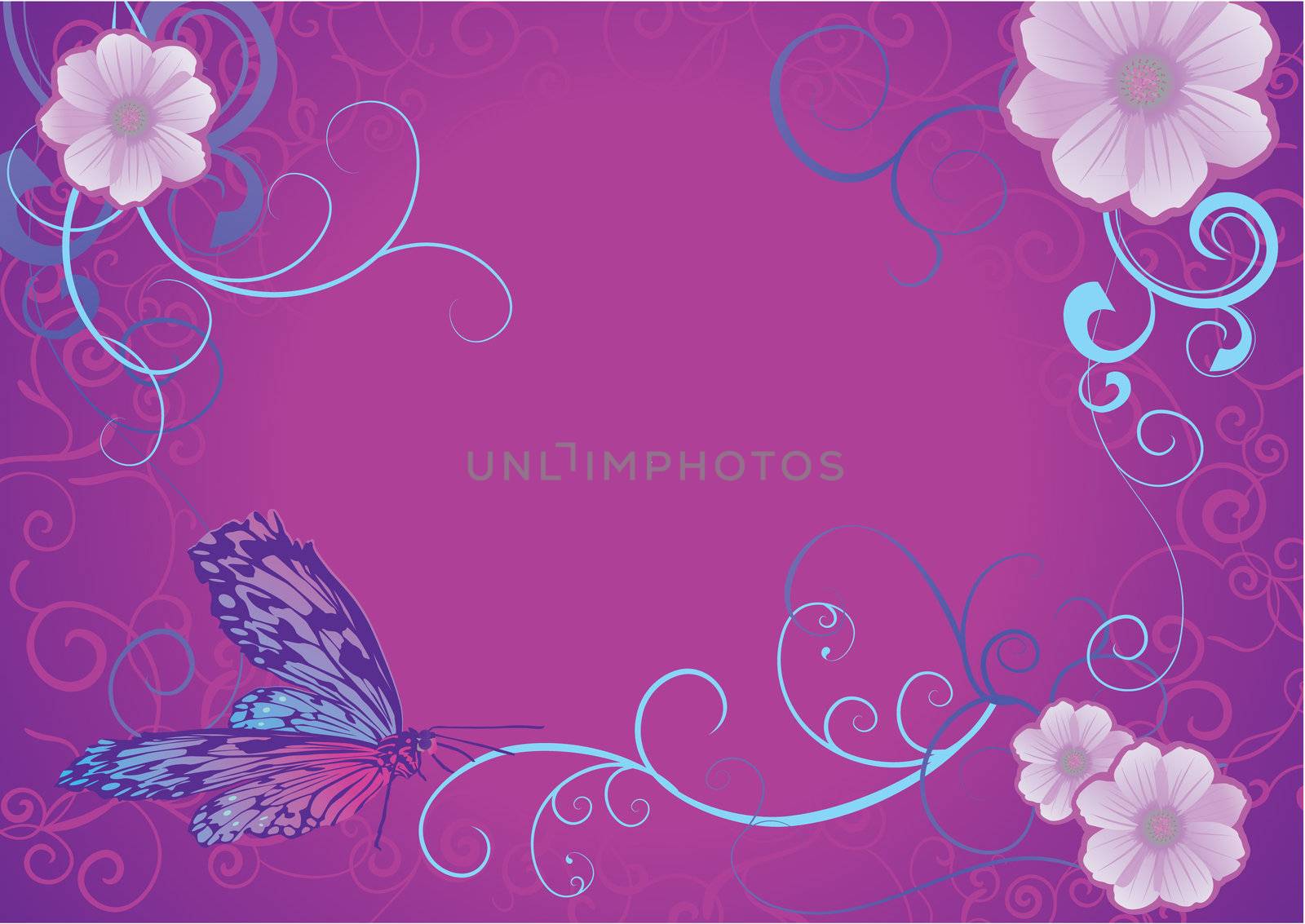 violet butterfly and flowers on dark background