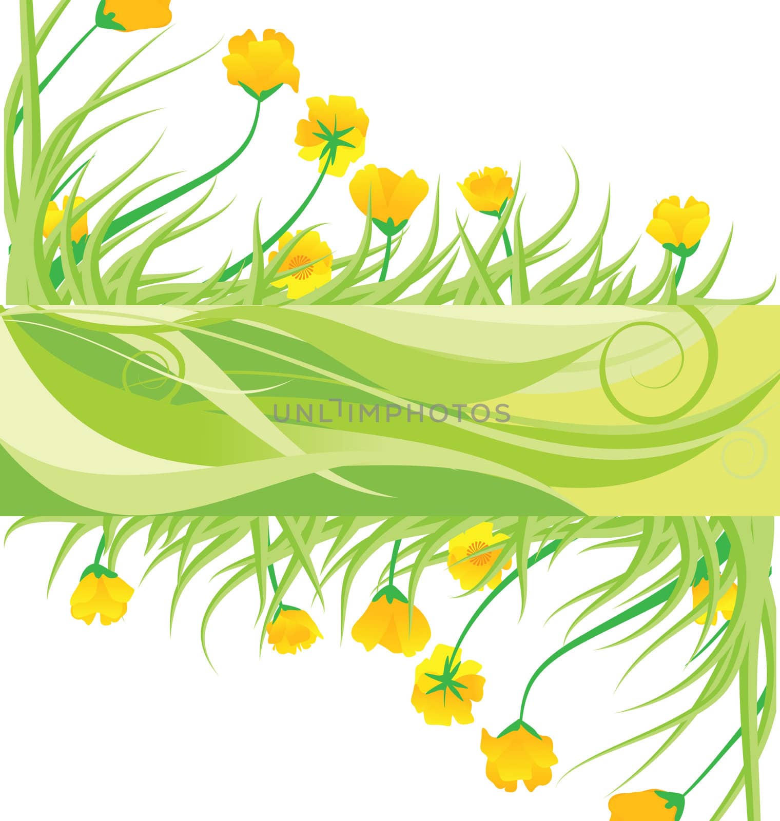 green banner with yellow flowes and green grass vector isolated on white