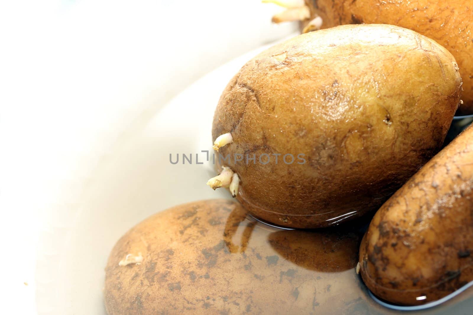 potatoes by Teka77