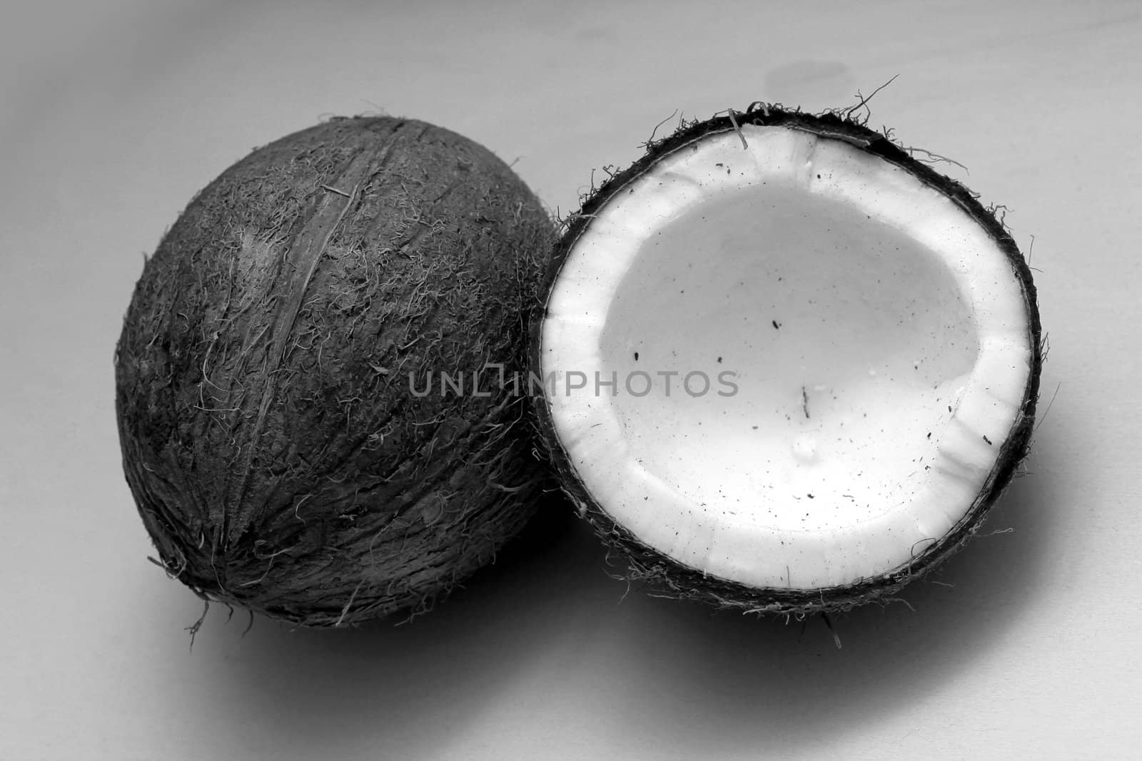 coconuts black and white