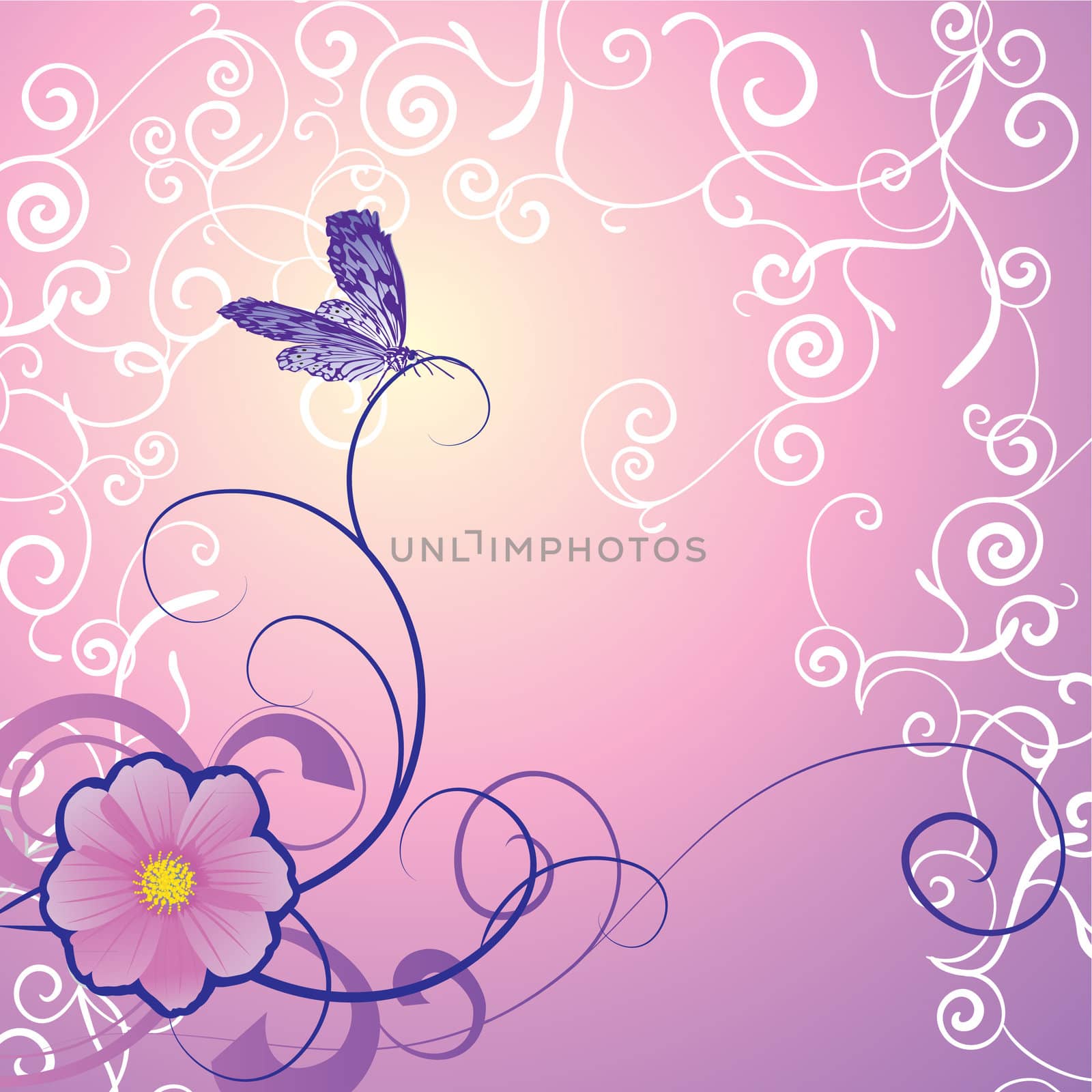 detailed butterfly with floral ornament on magenta backdrop