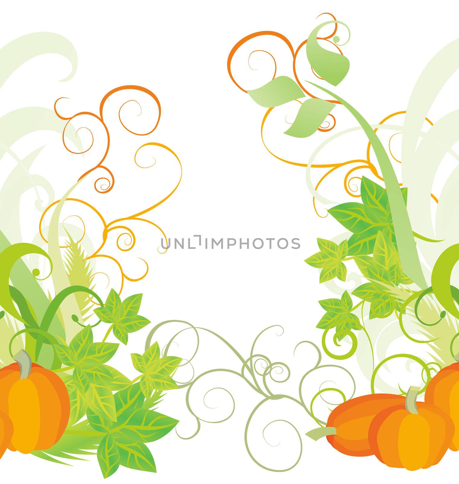 autumn textured orange pumpkin background