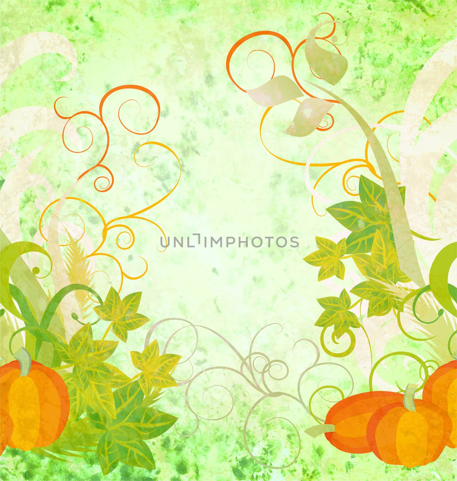 autumn textured orange pumpkin background