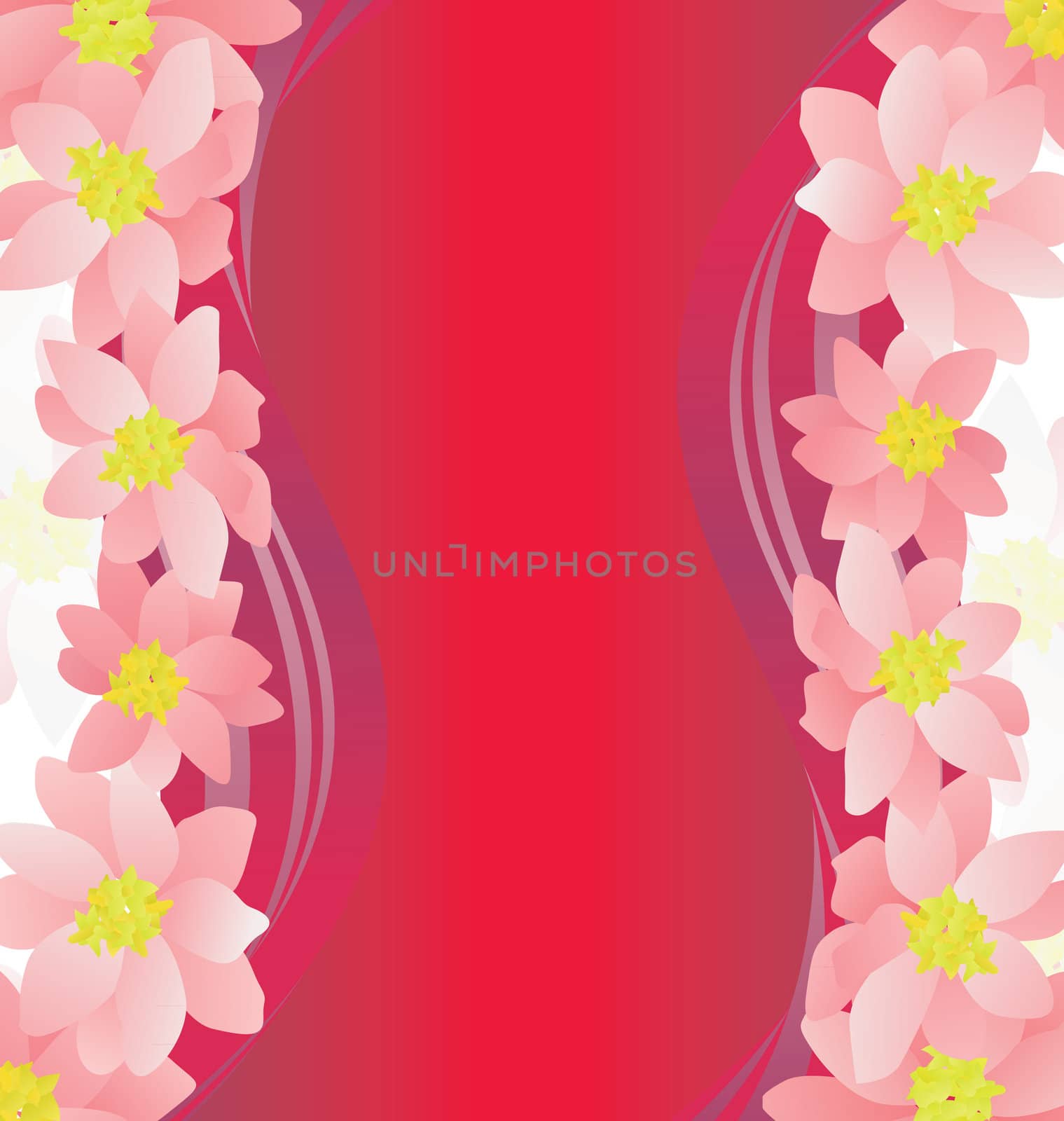 pink flowers border on dark magenta background
