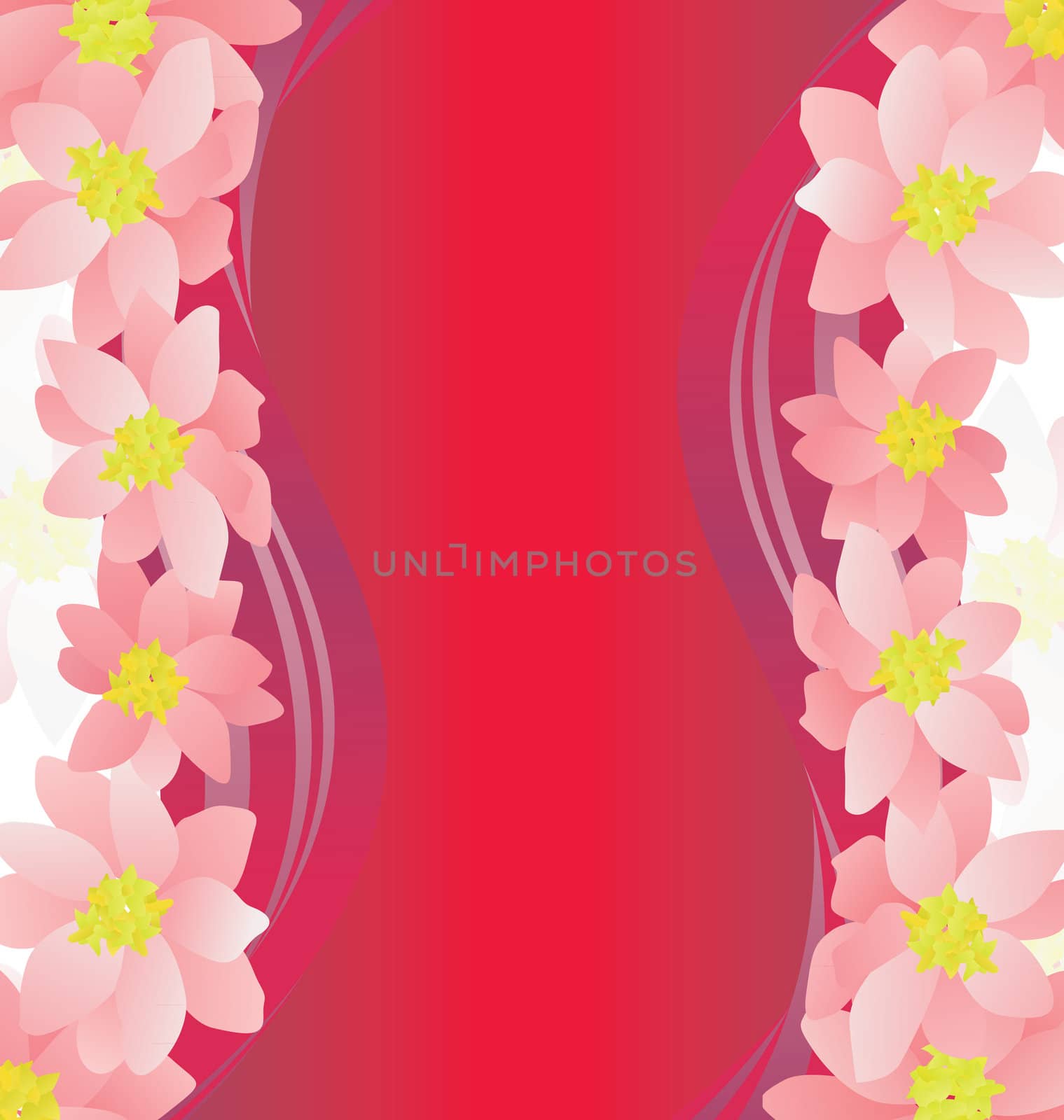 pink flowers border on dark magenta background
