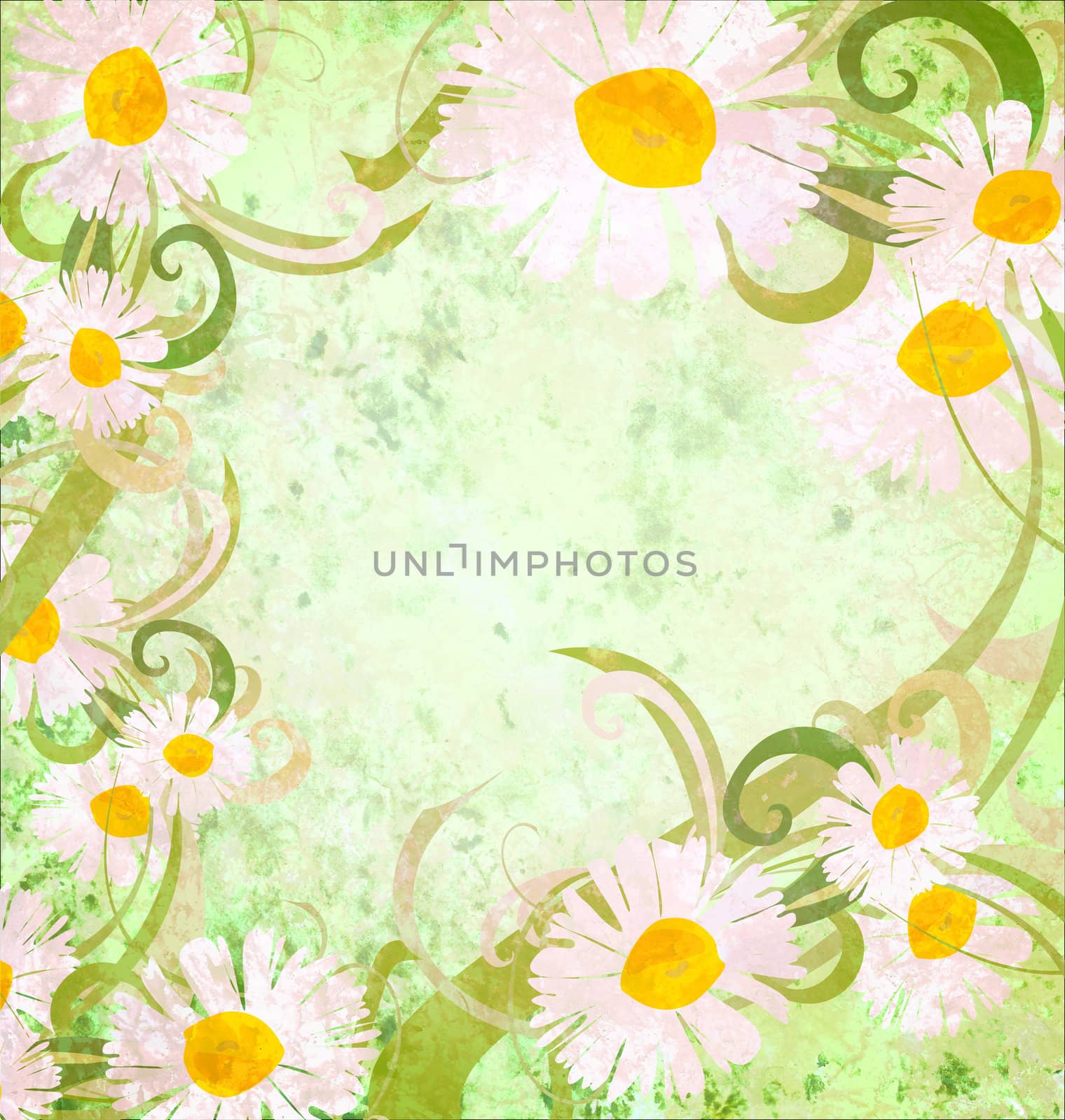 daisy frame grunge background vintage style nature image by CherJu