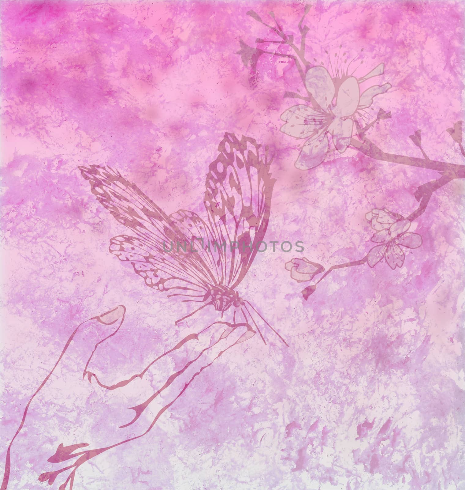 detailed butterfly with floral ornament on magenta backdrop
