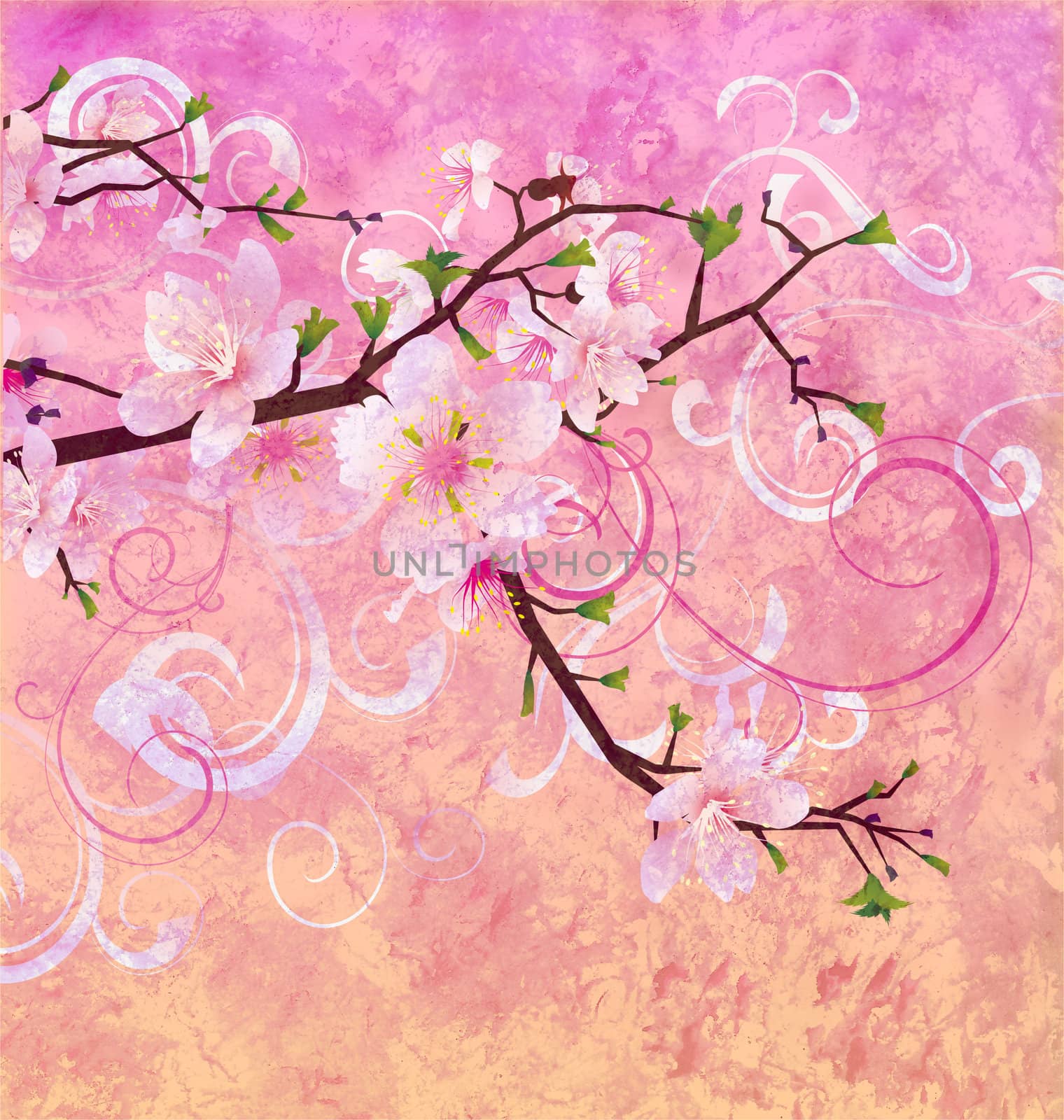 peach pink colors blooming cherry tree grunge background by CherJu