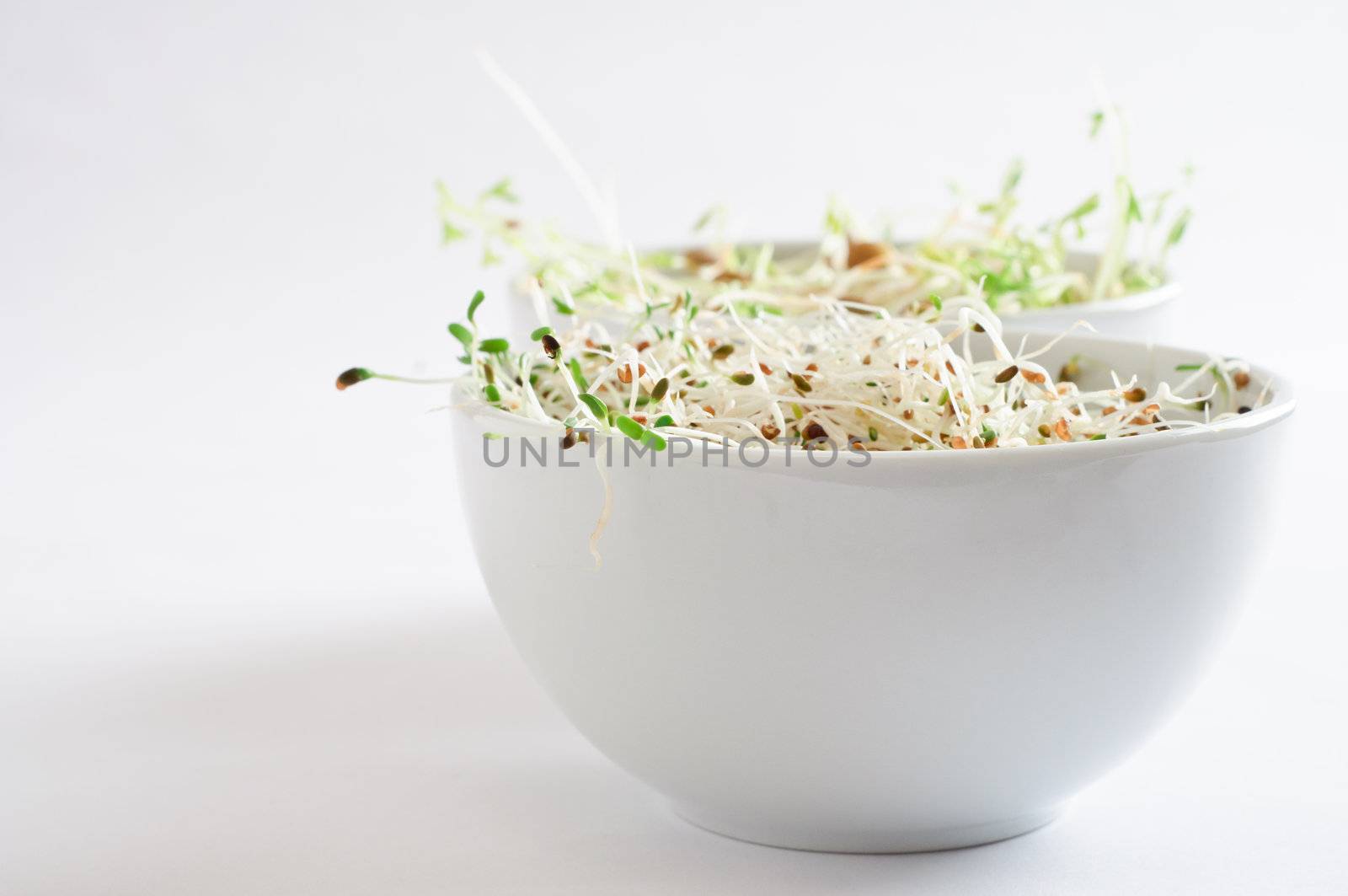 Two bowls of beansprouts.  Alfalfa in foreground, green lentil in background.  Copy space to left.