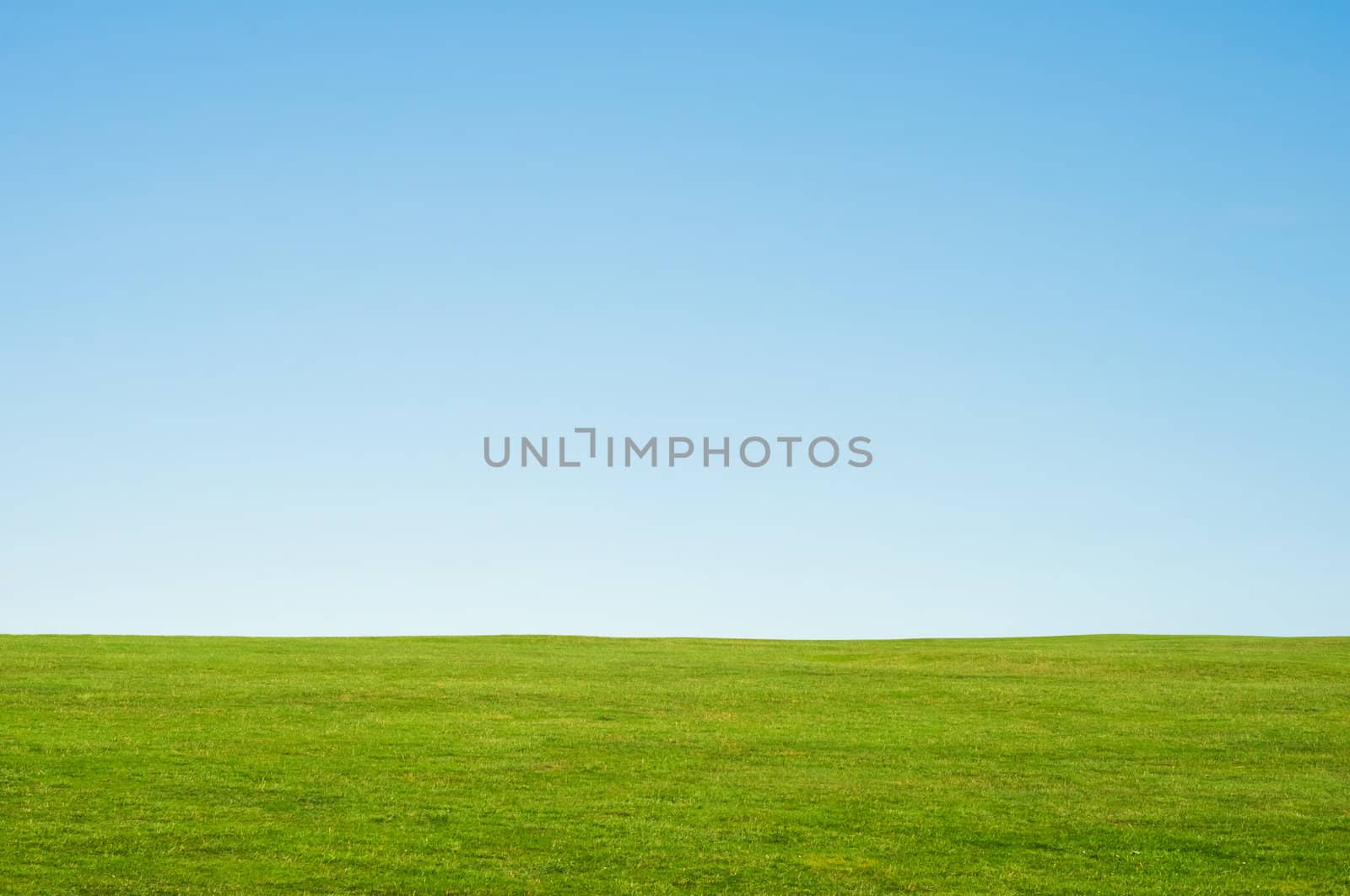 Green grass and blue sky landscape background, providing copy space in the sky.  Horizontal orientation.