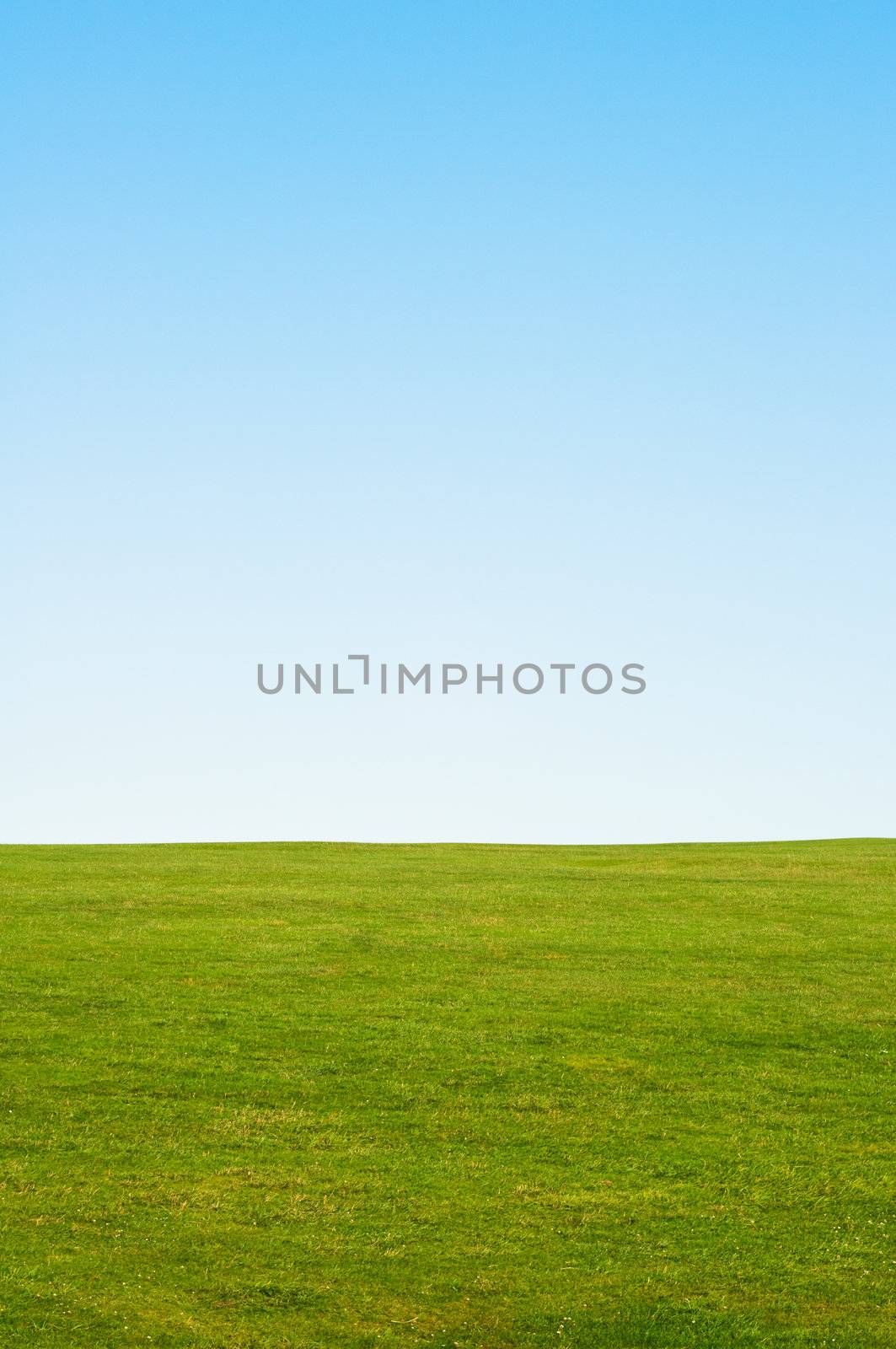 Green grass and blue sky background, providing copy space in the sky.  Vertical (portrait) orientation.