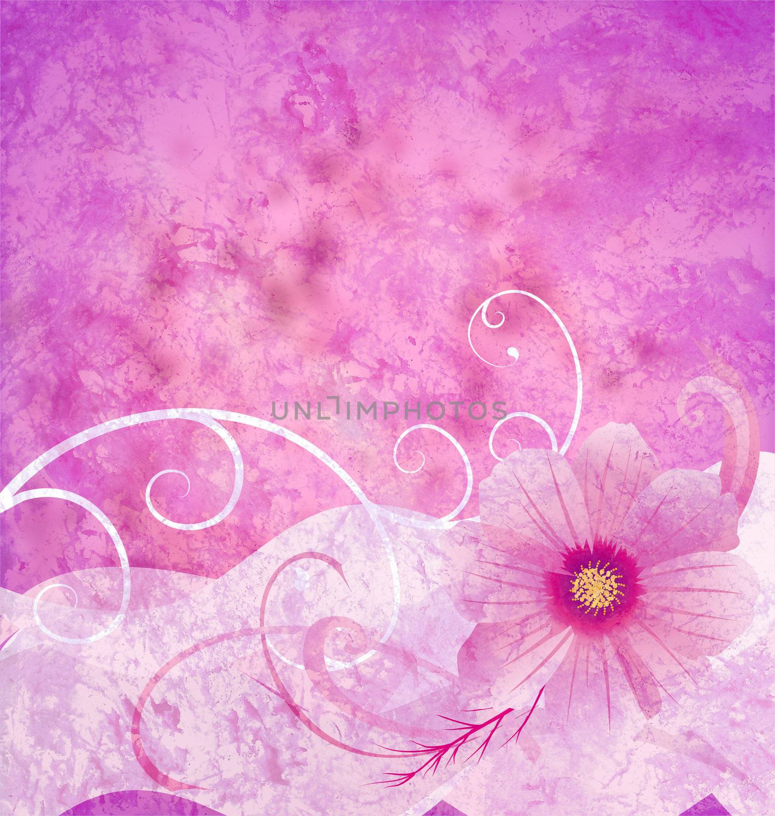 pink grange background textured idea with  ornamented pink cosmos flower