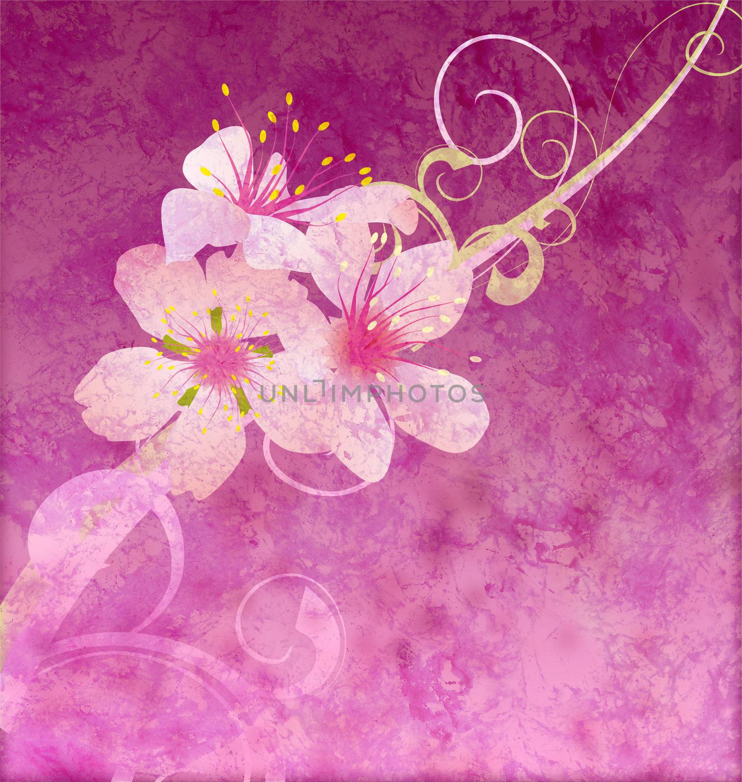 pink flowers on dark pink background grunge illustration by CherJu