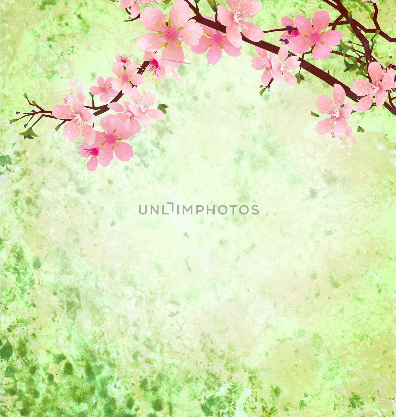 pink cherry blossom branch on green grunge background easter illustration idea
