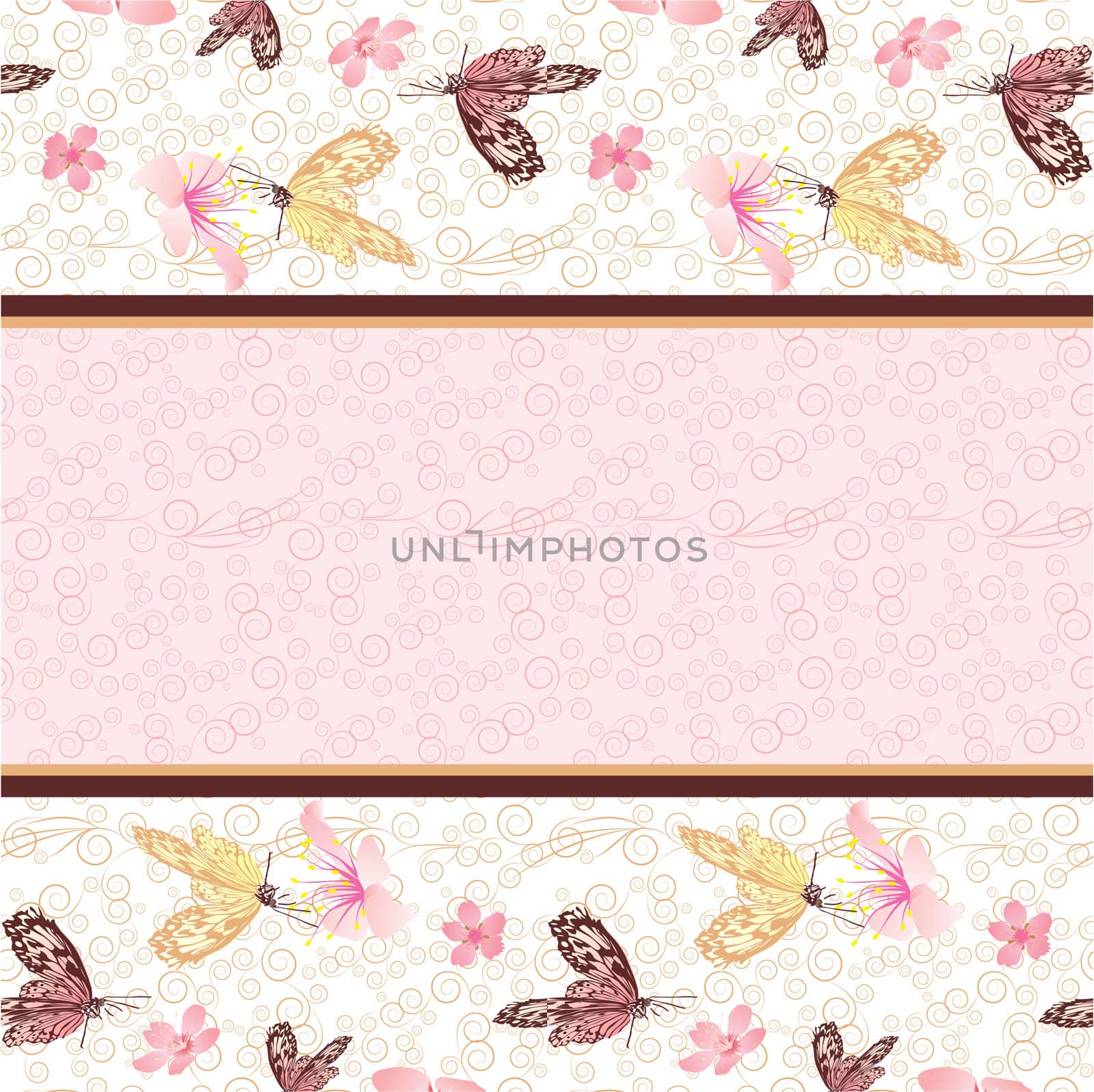 pink flowers and butterflies pattern with clear blank vector