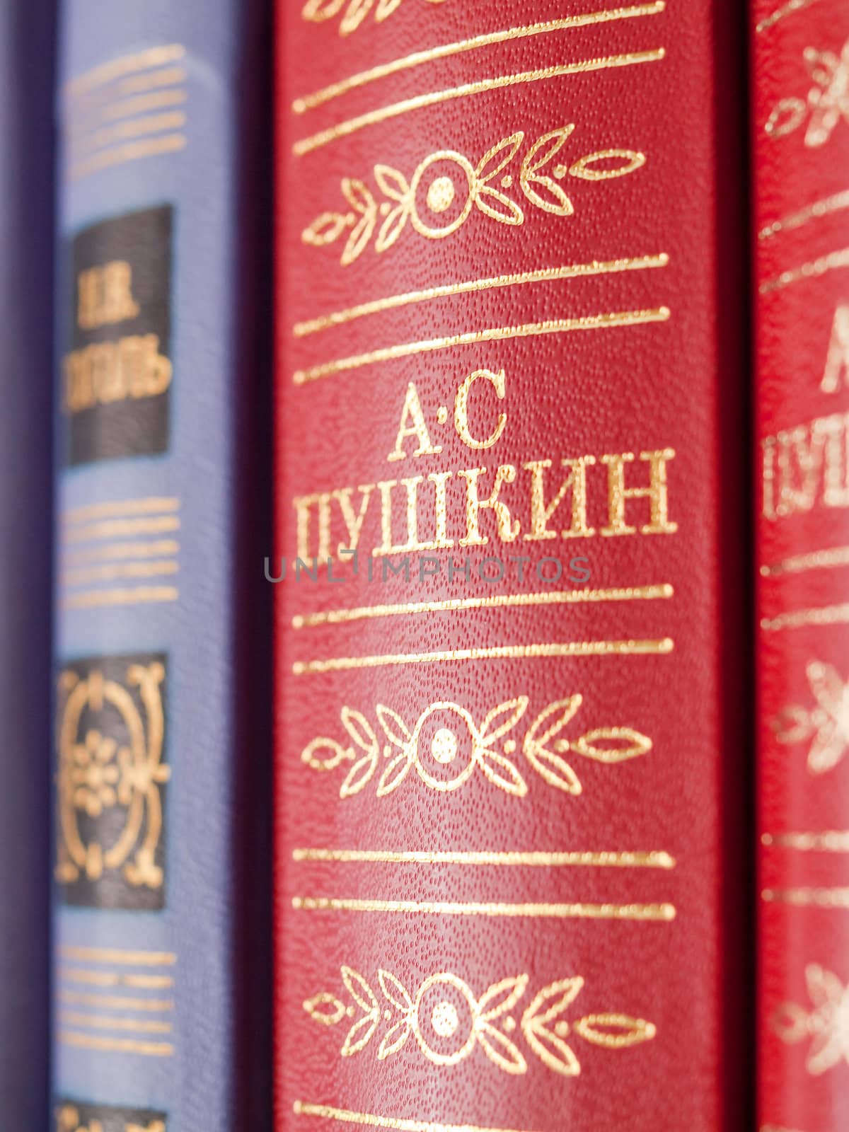 A book of Russian poet Alexander Pushkin on the shelf