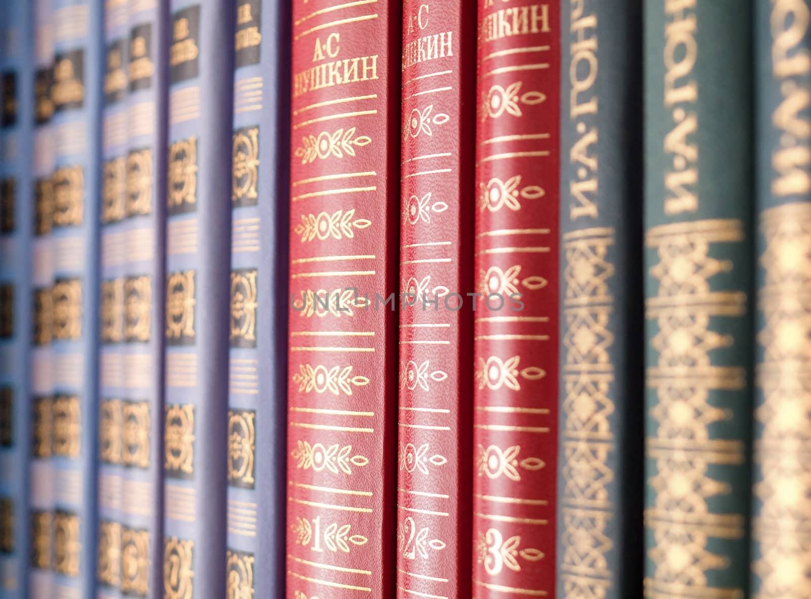 Books of classical russian literature on the shelf by kvinoz