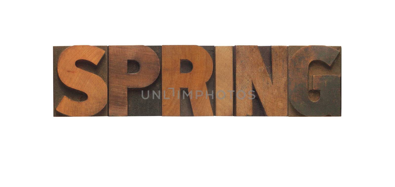 the word spring in old wood type