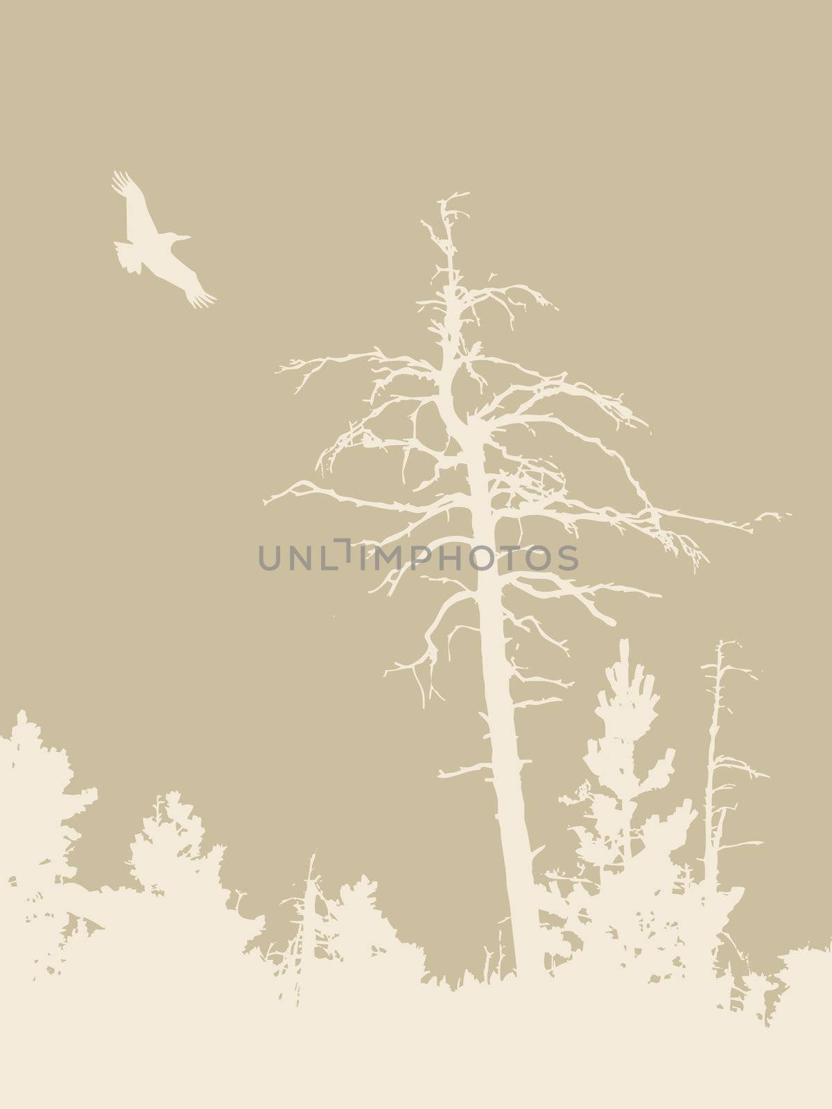 bird silhouette on brown background