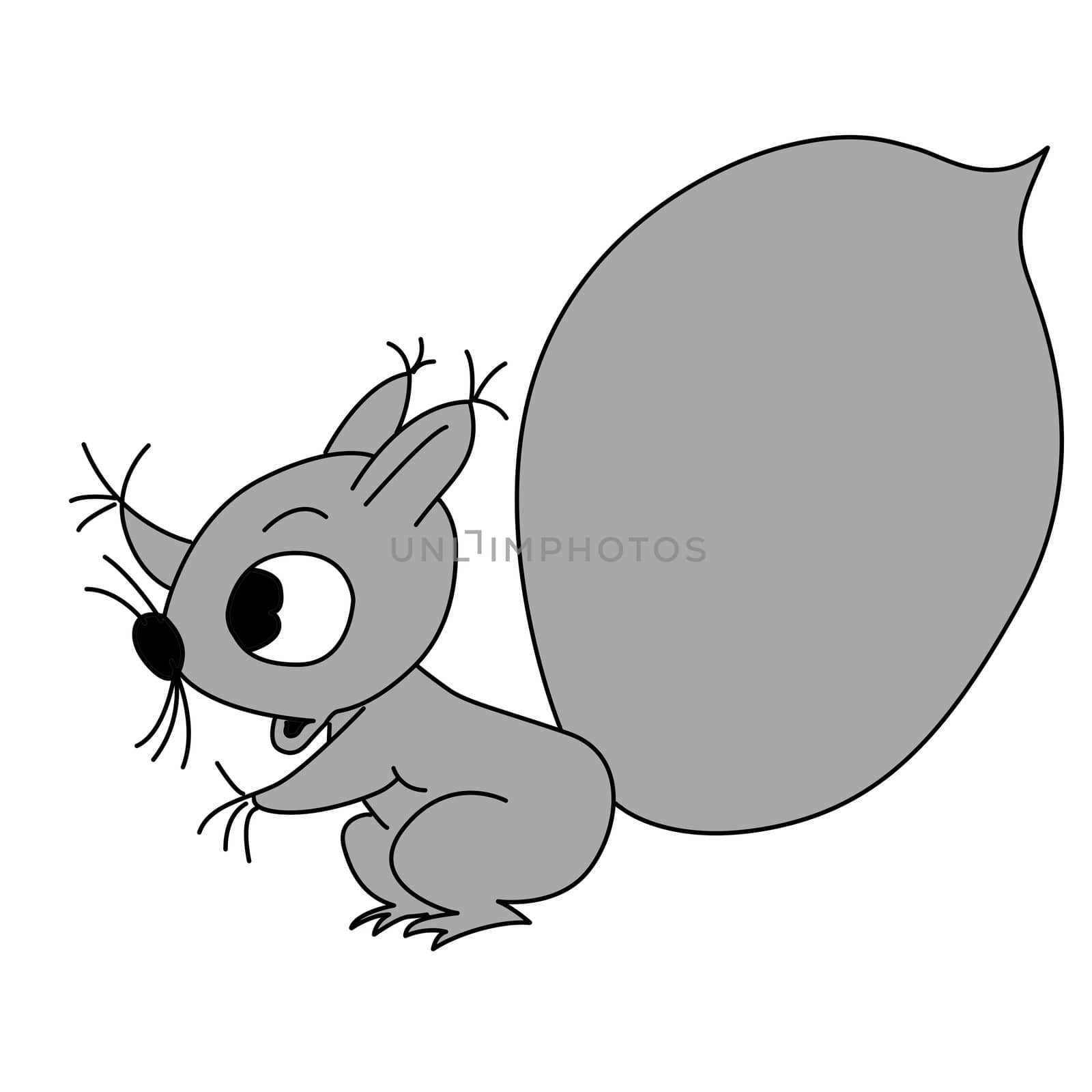 drawing squirrel on white background