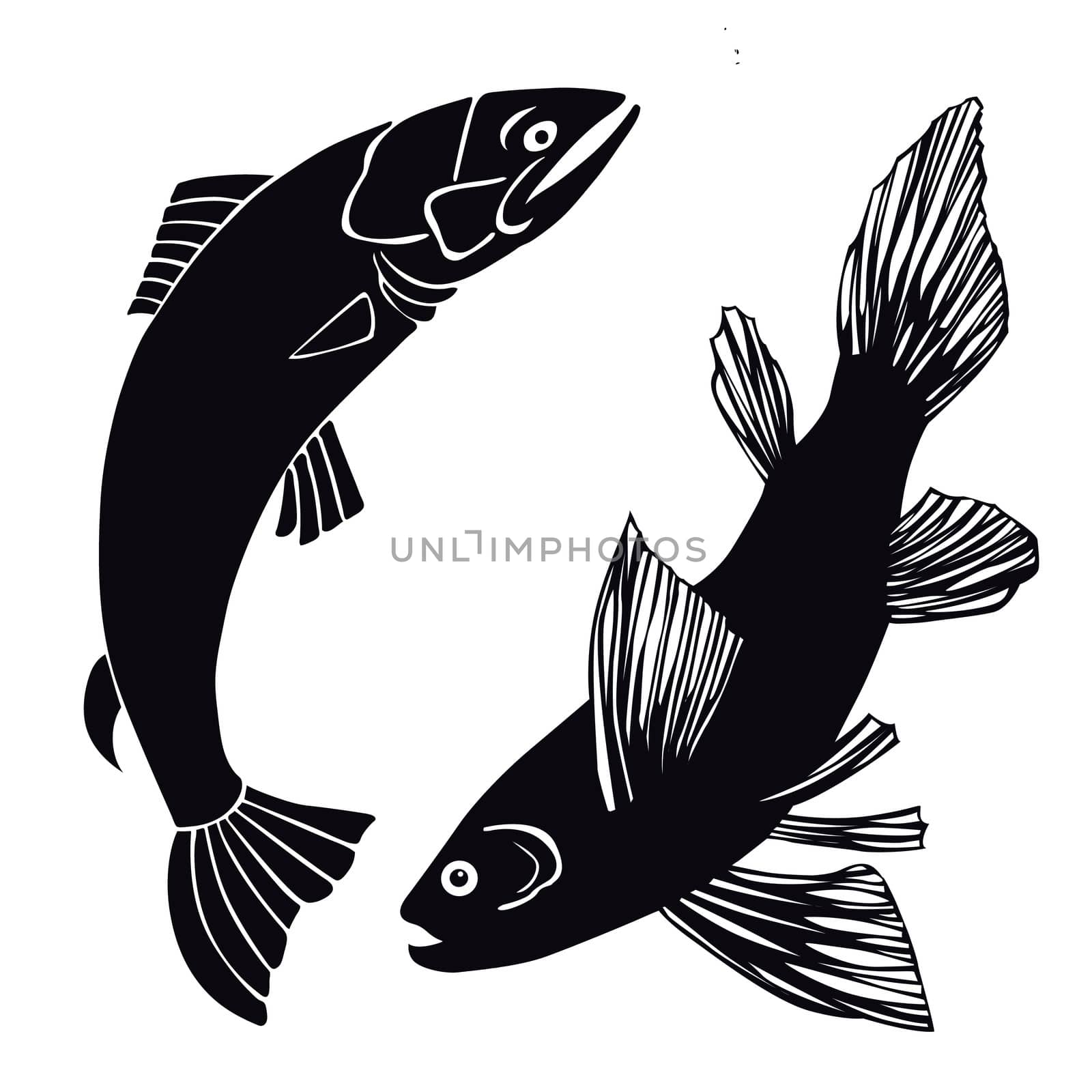 set of fish on white background by basel101658