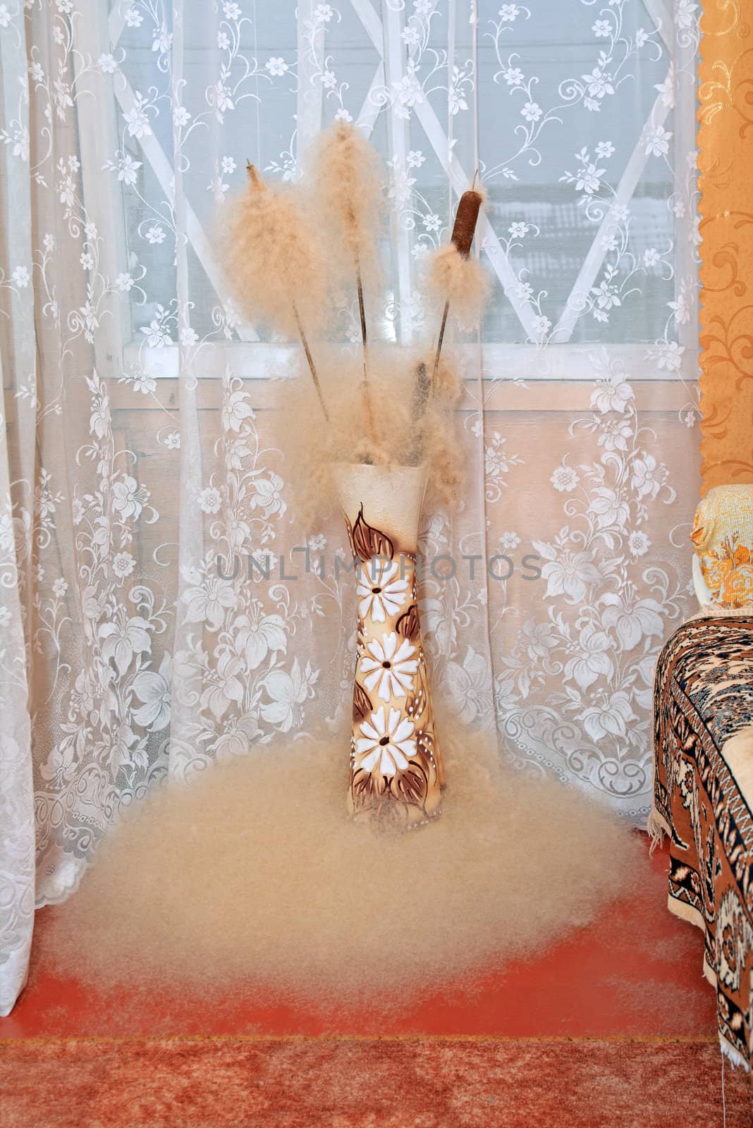 bulrush in pitcher in rural house