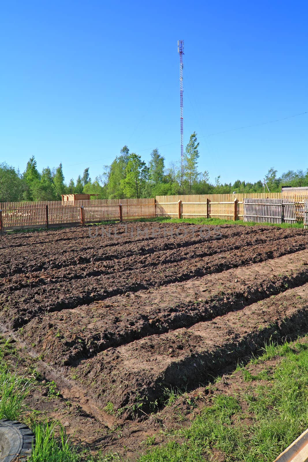 rural vegetable garden