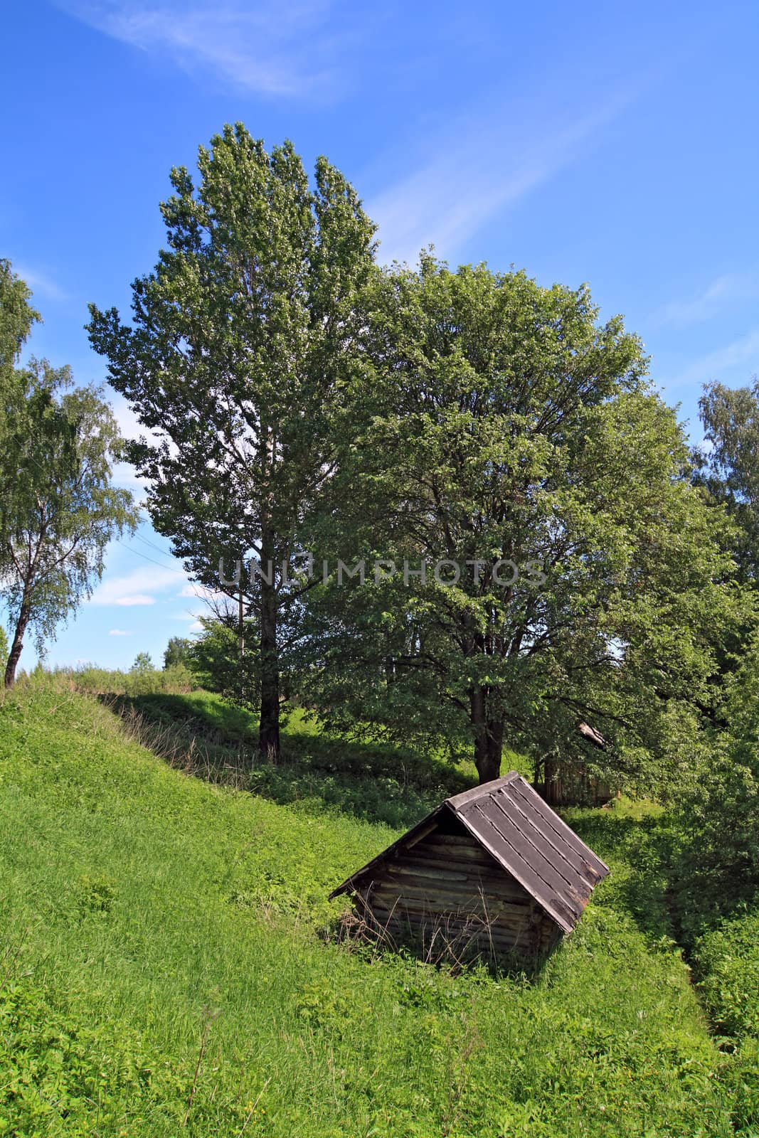 wooden house in green wood