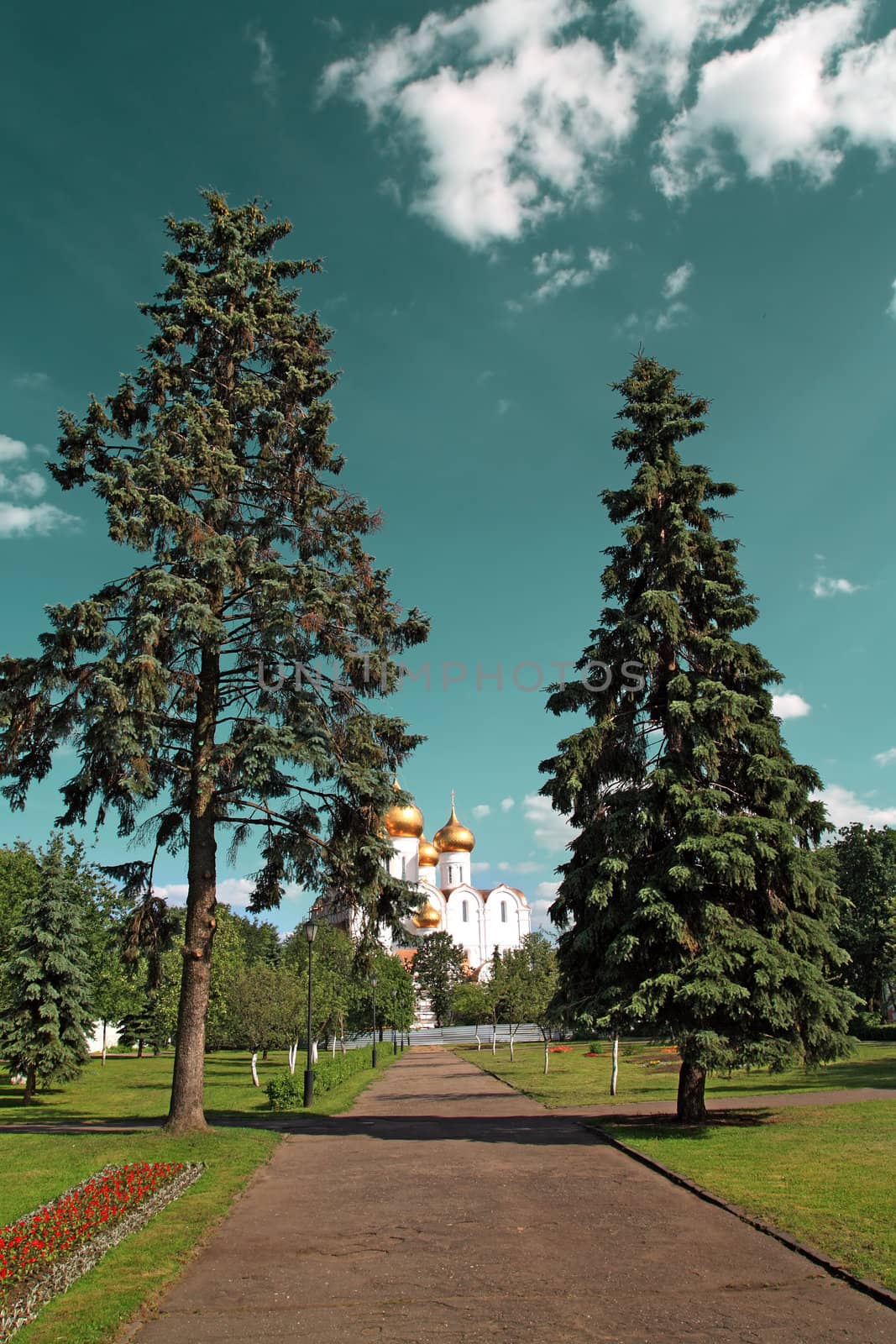 track in park