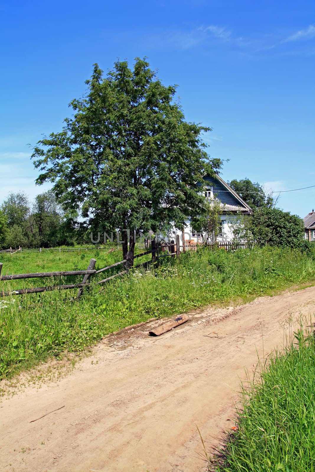 sandy road in old village