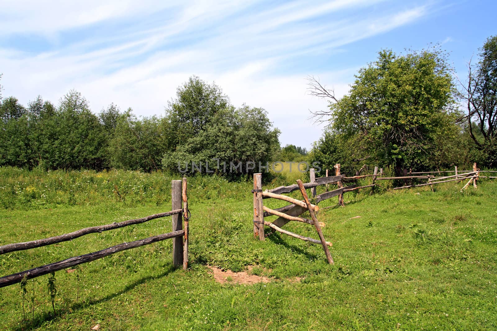 wooden fence on green pasture