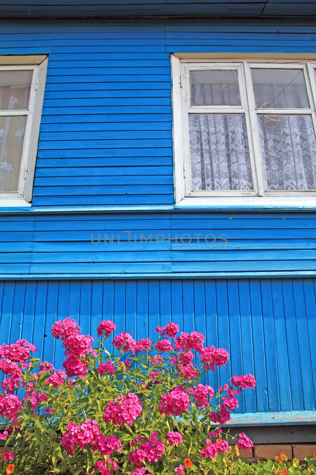 flowerses near wall of the wooden building