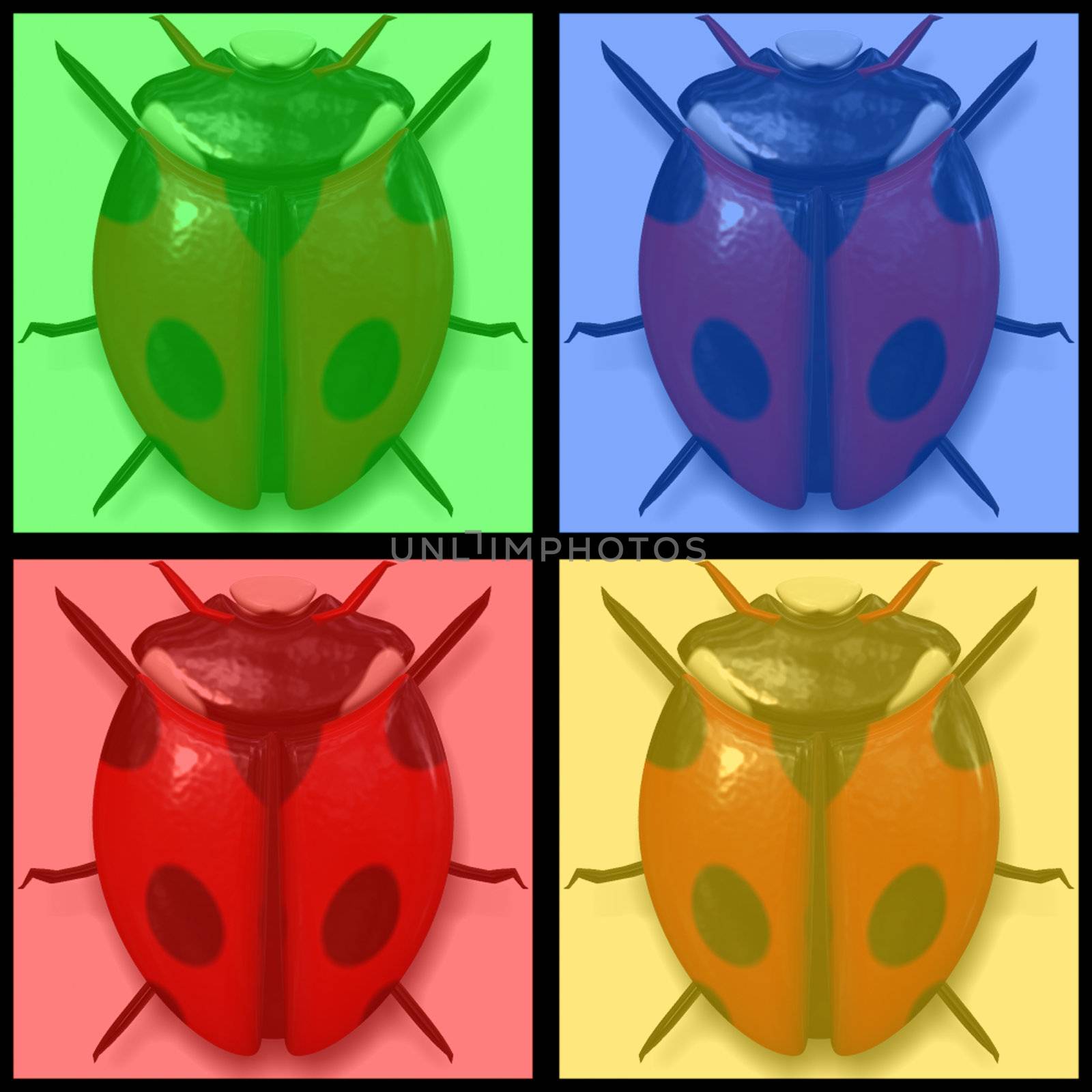 lady bird beetle in 4 color