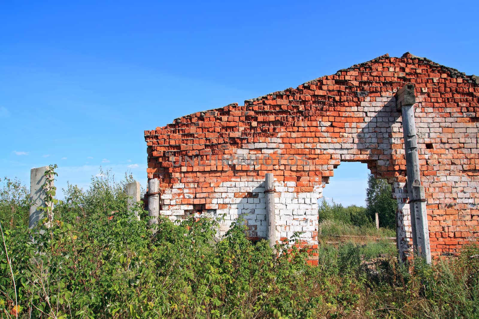 red brick destroyed building amongst green herb