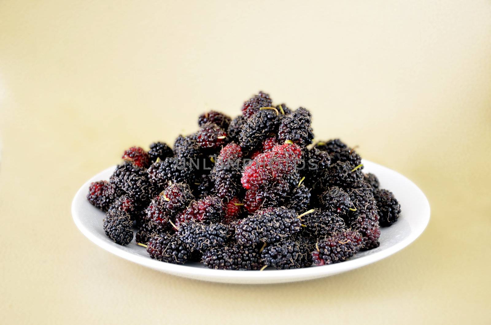  fresh mulberries in white dish , yellow background