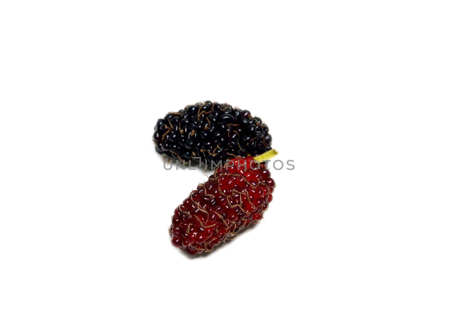 fresh mulberries  on white background