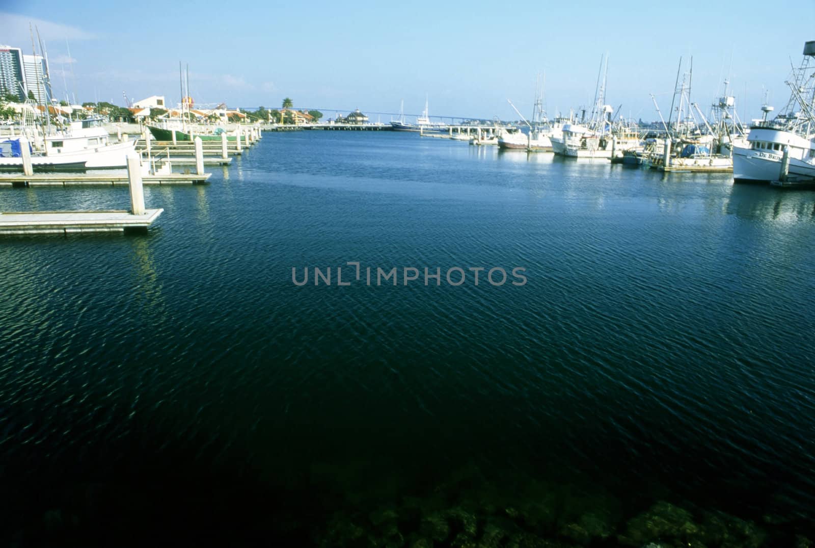 Harbor in San Diego