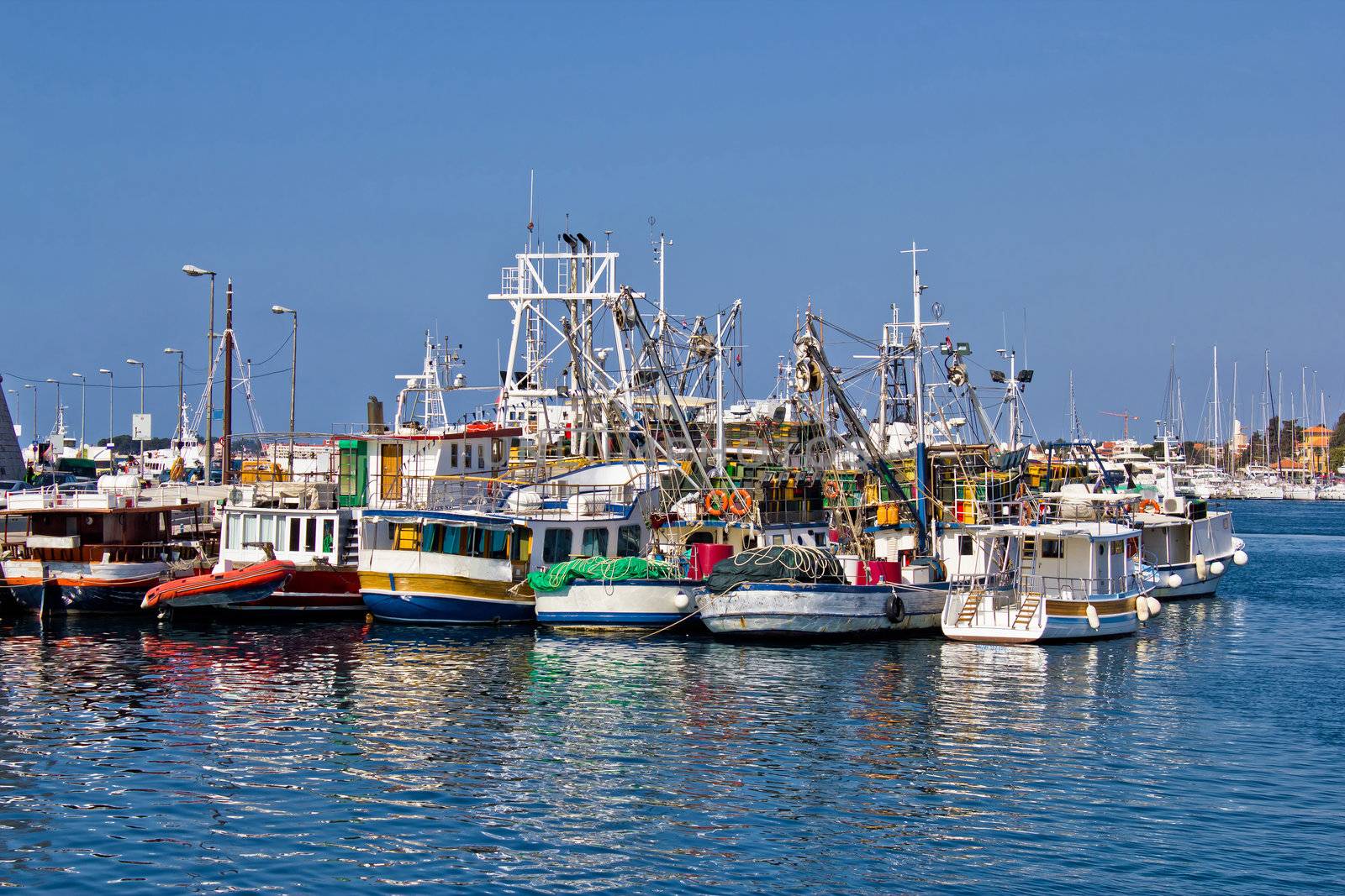 Fishing boats fleet in Harbor, Zadar, Dalamtia, Croatia