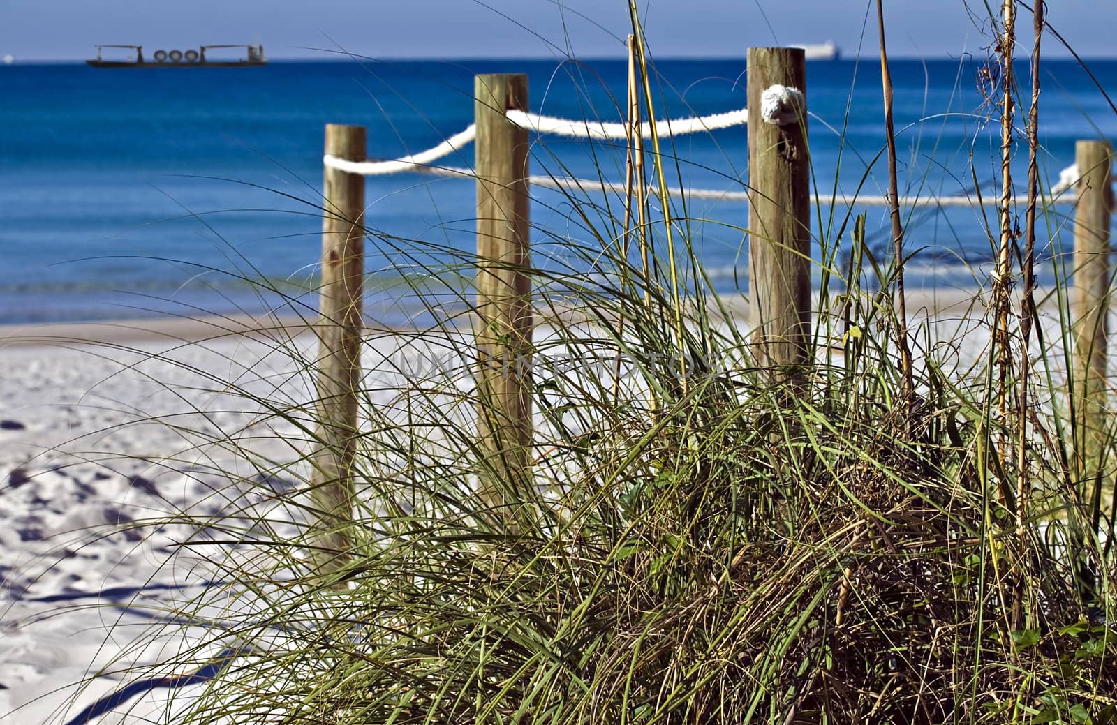 A path to the beach showing the ocean and ships.