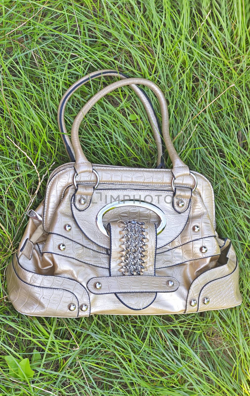 lady handbag