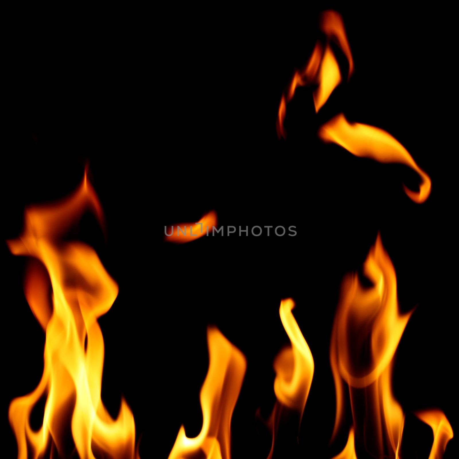 inferno flame fire on black background close up