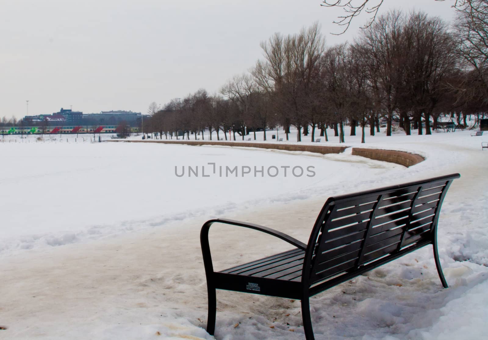 Black chair and lakeshore