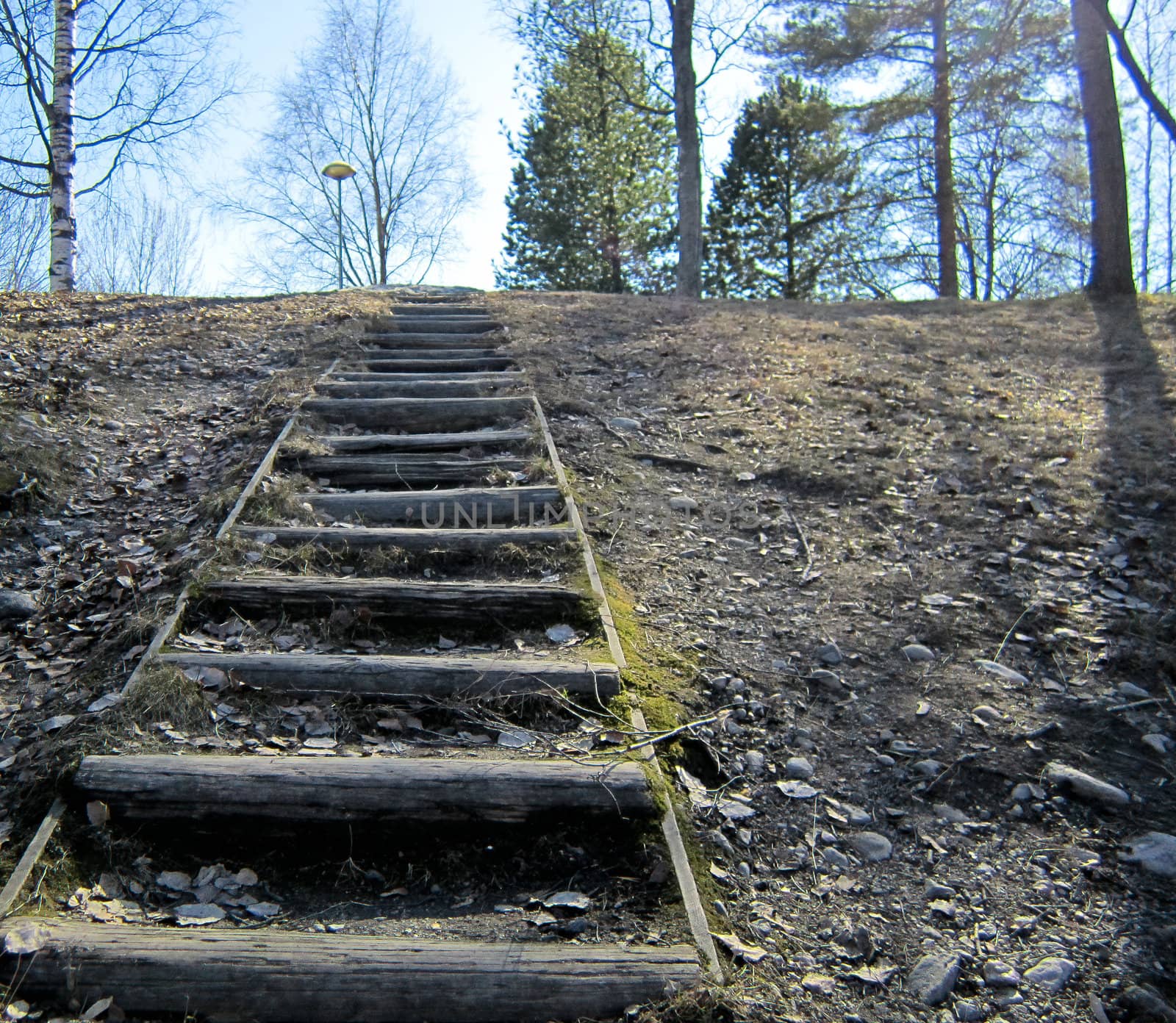 Wooden stairs leading upwards