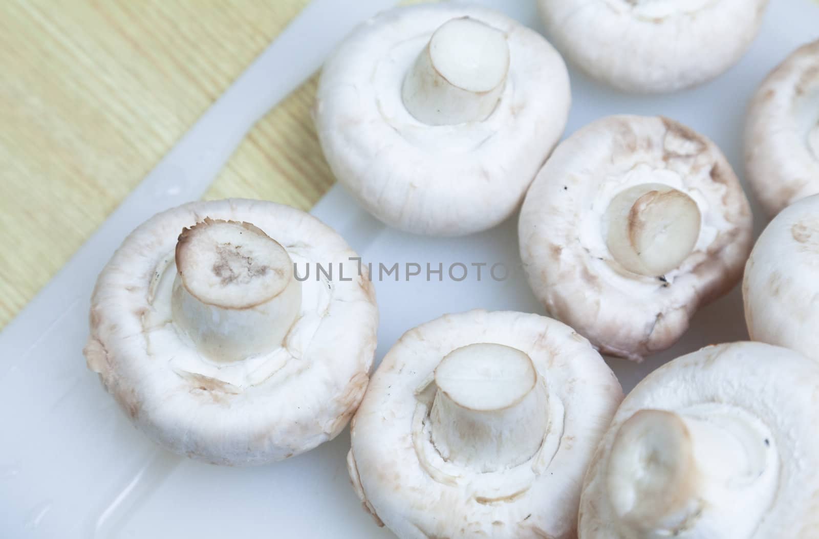 Mushrooms by Portokalis