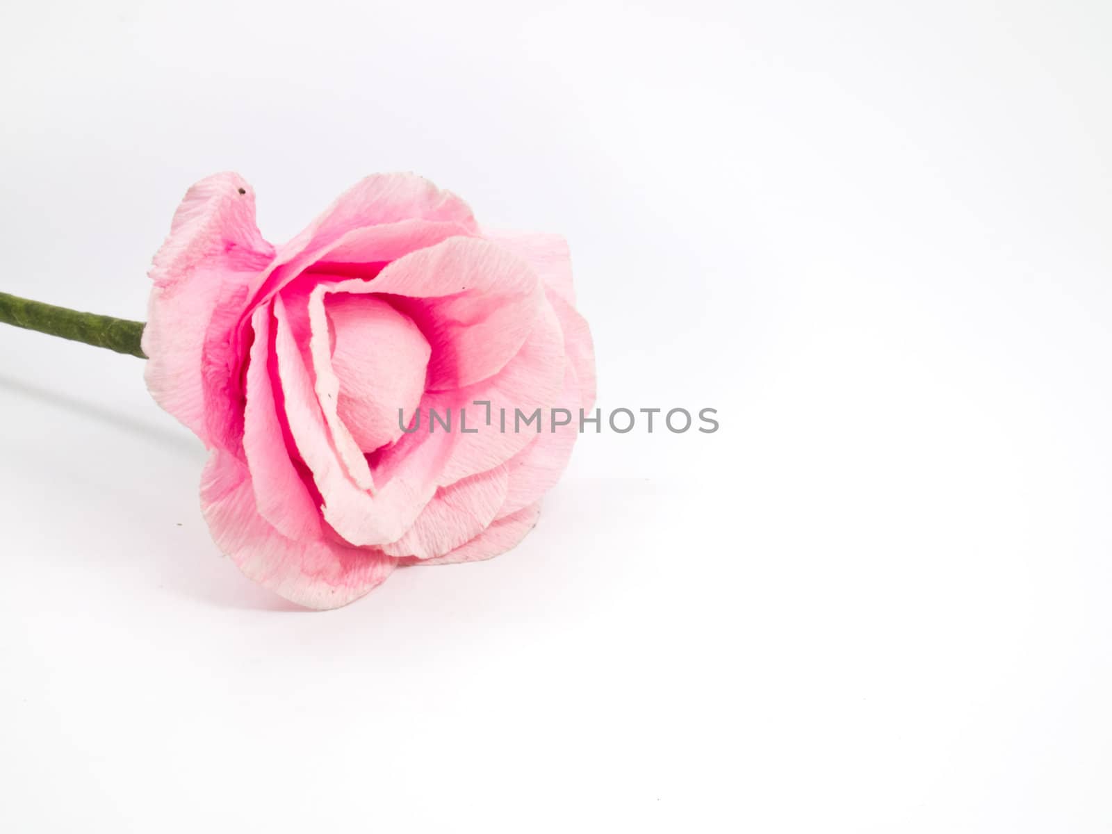 this is a pink Artificial flower on white background and it's have a shadow