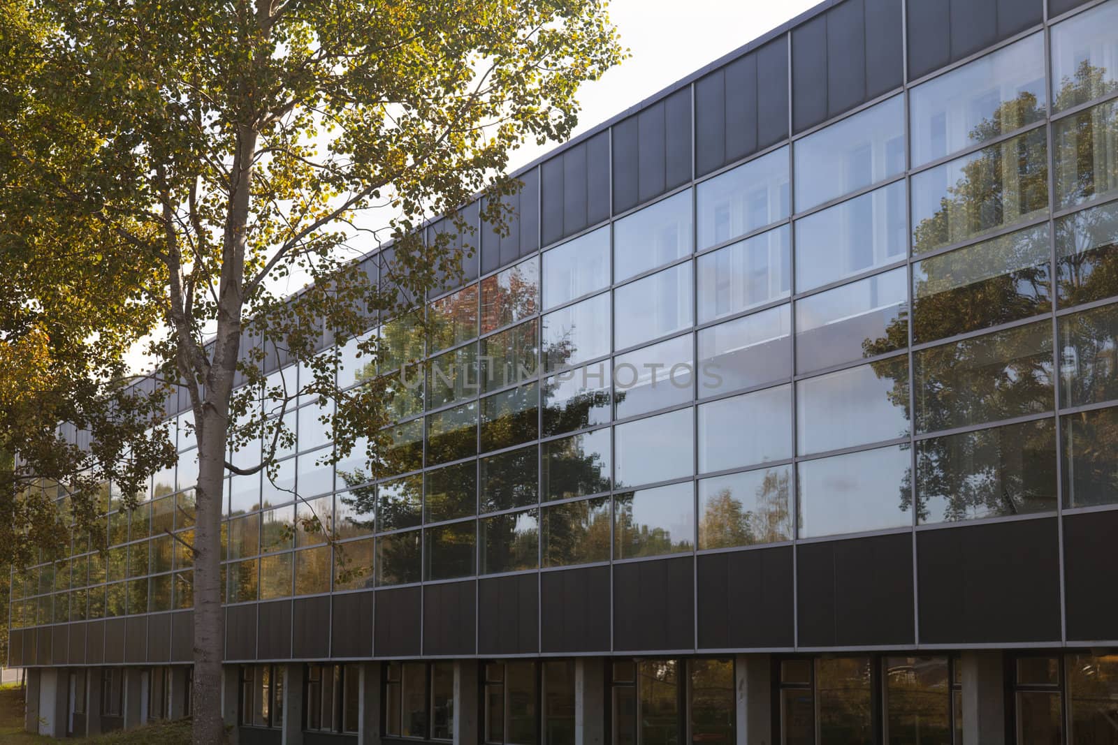 Building with glass facade with a strong element of nature