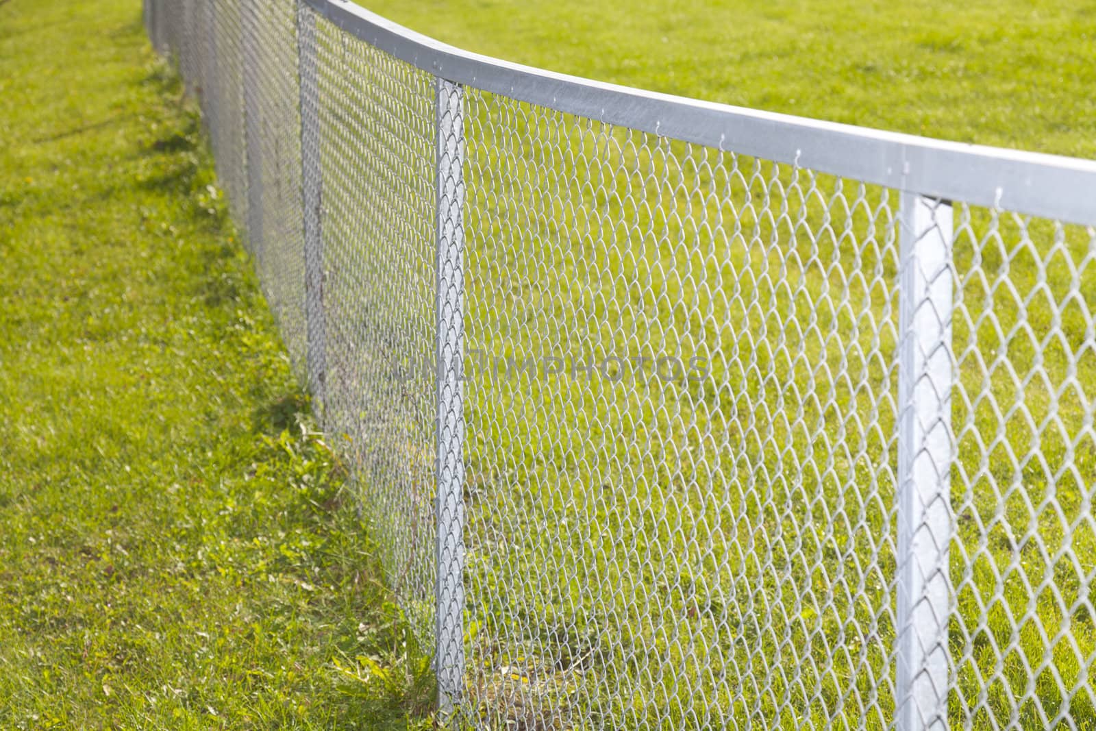 Metallic fence into a field with green grass